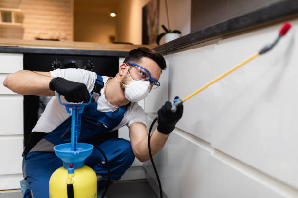 Best Pest Prevention Services  in Chapin, SC