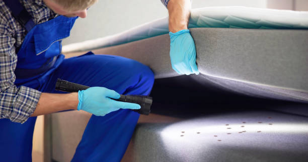 Best Residential Pest Control  in Chapin, SC
