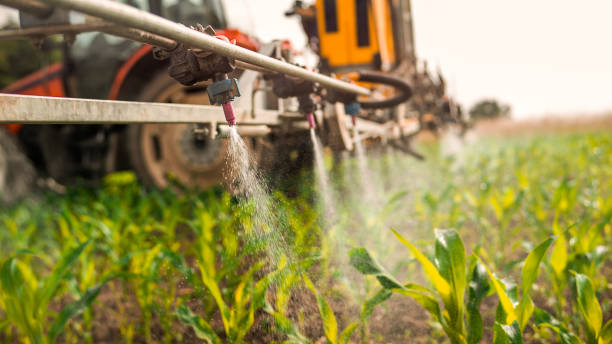 Best Pest Removal Services  in Chapin, SC