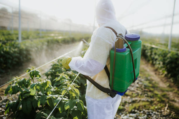 Best Emergency Pest Control  in Chapin, SC